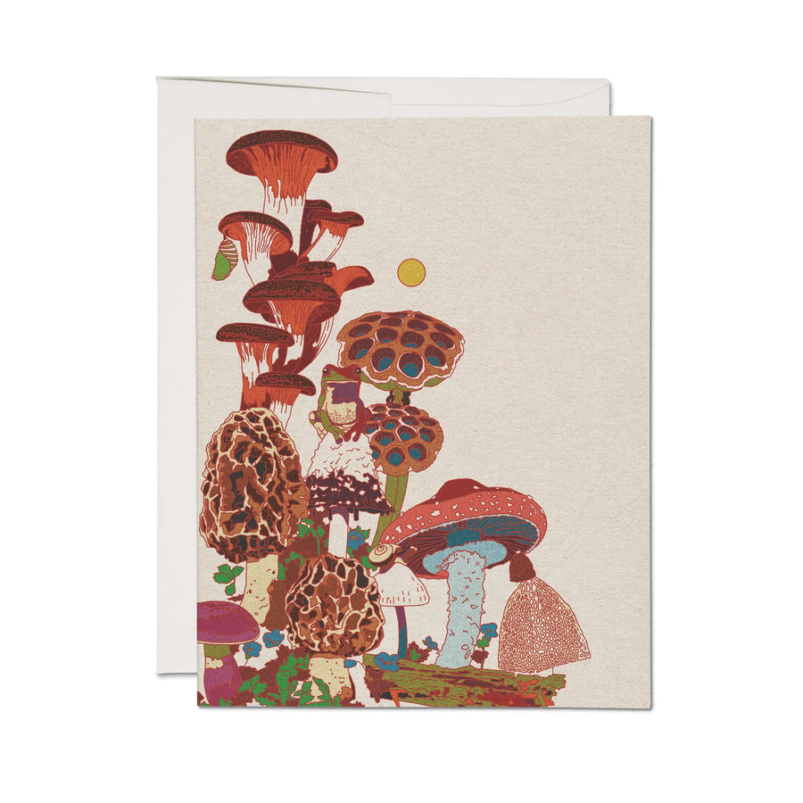 Frog & Fungi Card