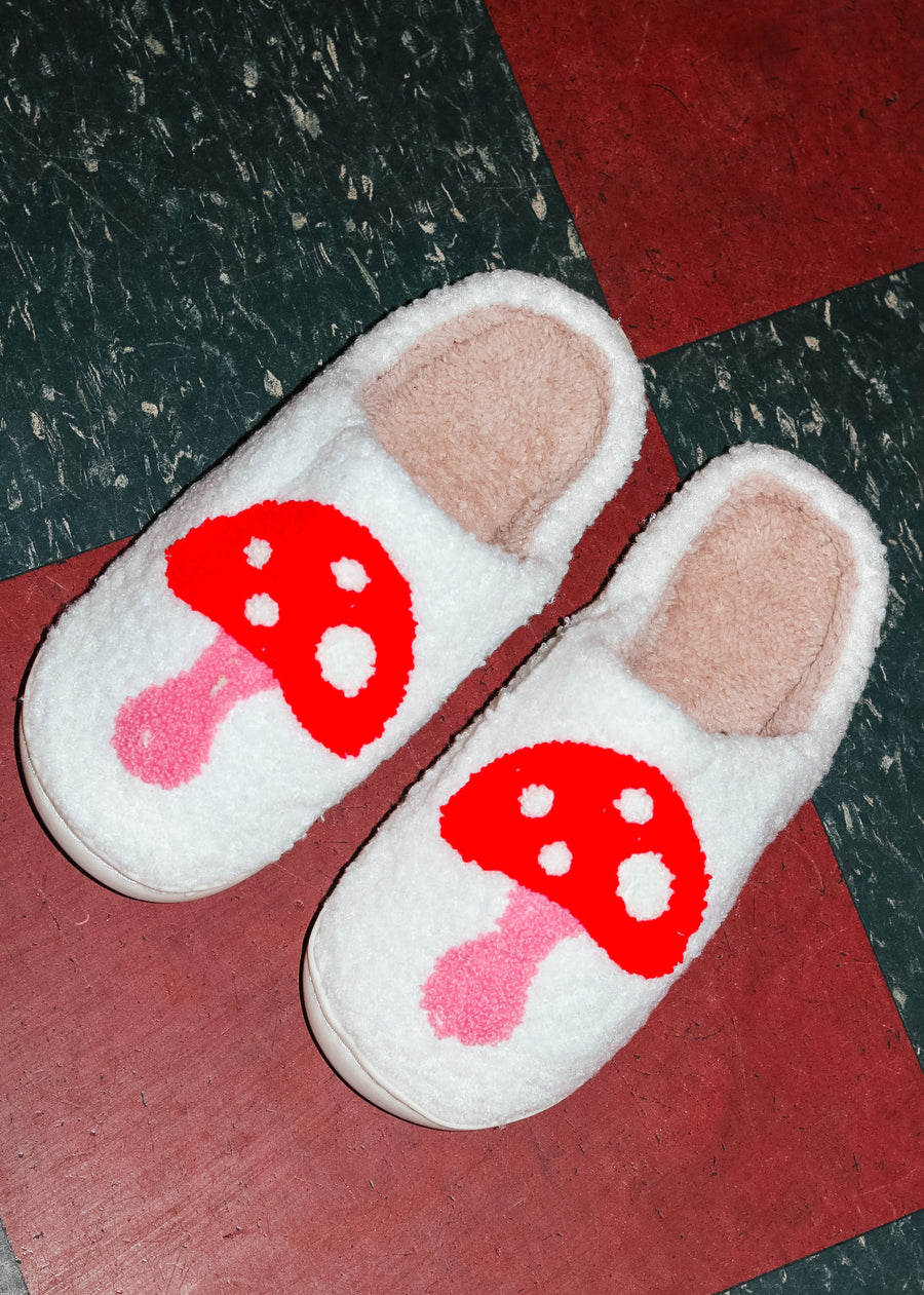 Clog Slippers